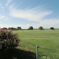 サッカー場 全景